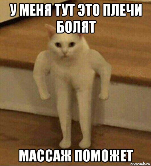 у меня тут это плечи болят массаж поможет, Мем  Полукот