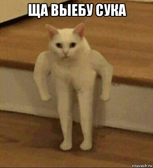 ща выебу сука 