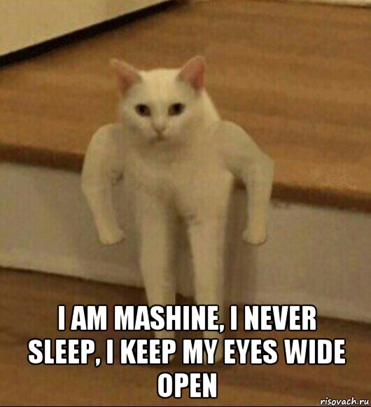  i am mashine, i never sleep, i keep my eyes wide open