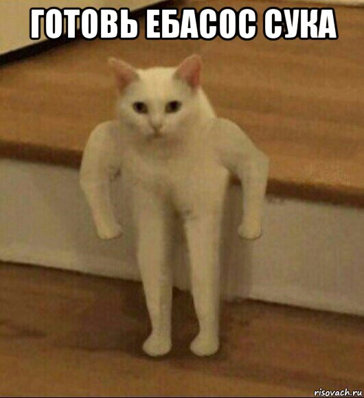 готовь ебасос сука 