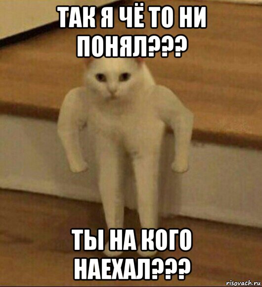 так я чё то ни понял??? ты на кого наехал???, Мем  Полукот