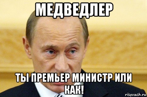 медведлер ты премьер министр или как!, Мем путин