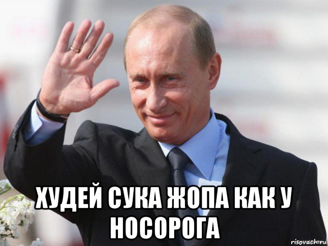  худей сука жопа как у носорога