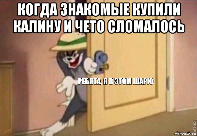 когда знакомые купили калину и чето сломалось , Мем    Ребята я в этом шарю