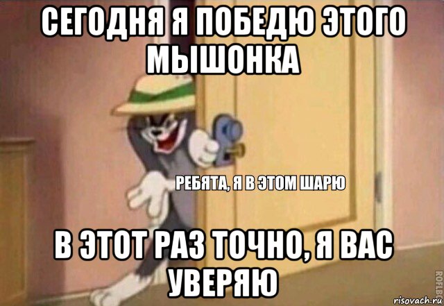 сегодня я победю этого мышонка в этот раз точно, я вас уверяю, Мем    Ребята я в этом шарю