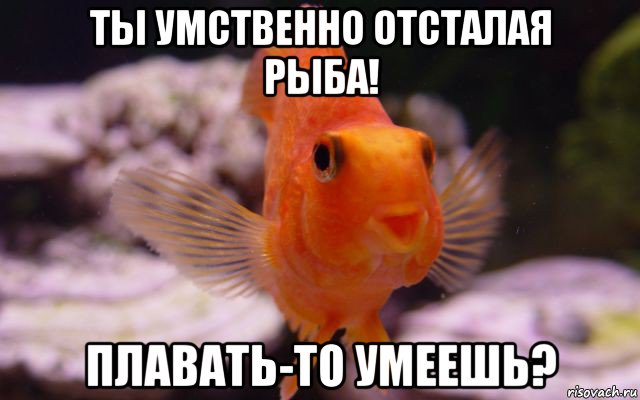 ты умственно отсталая рыба! плавать-то умеешь?
