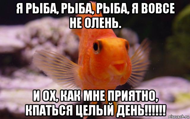 Проститутка Рыбка Краснодар