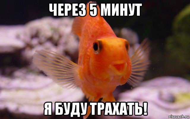 через 5 минут я буду трахать!