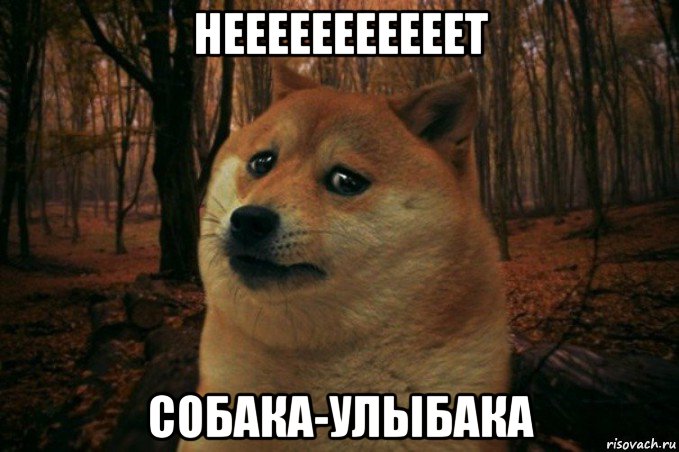 нееееееееееет собака-улыбака, Мем SAD DOGE