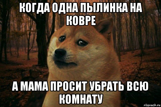 когда одна пылинка на ковре а мама просит убрать всю комнату, Мем SAD DOGE