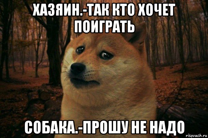 хазяин.-так кто хочет поиграть собака.-прошу не надо, Мем SAD DOGE