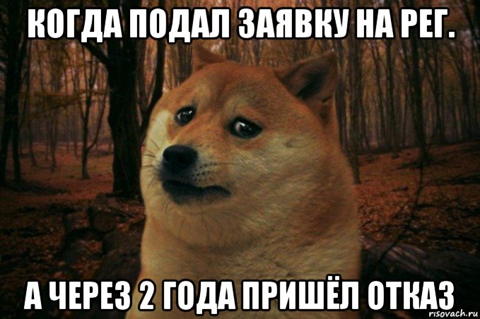 когда подал заявку на рег. а через 2 года пришёл отказ, Мем SAD DOGE