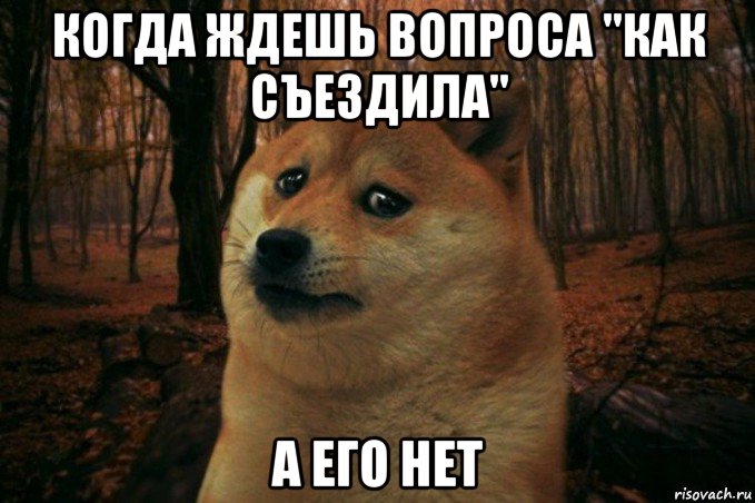 когда ждешь вопроса "как съездила" а его нет, Мем SAD DOGE