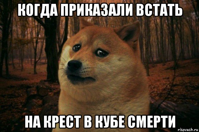 когда приказали встать на крест в кубе смерти, Мем SAD DOGE