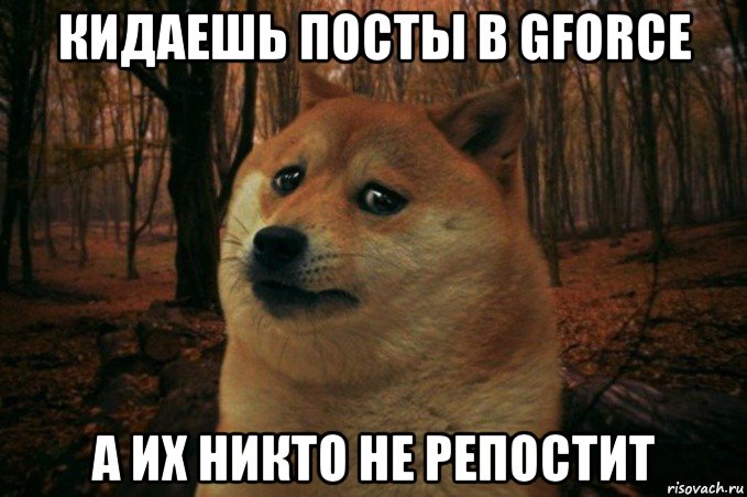 кидаешь посты в gforce а их никто не репостит, Мем SAD DOGE