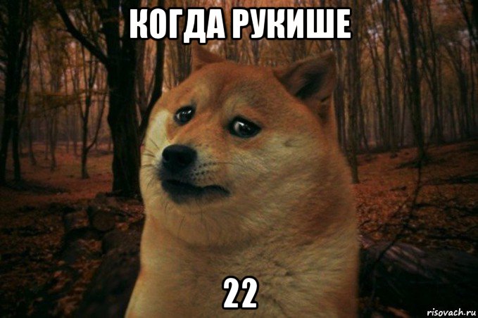 когда рукише 22, Мем SAD DOGE