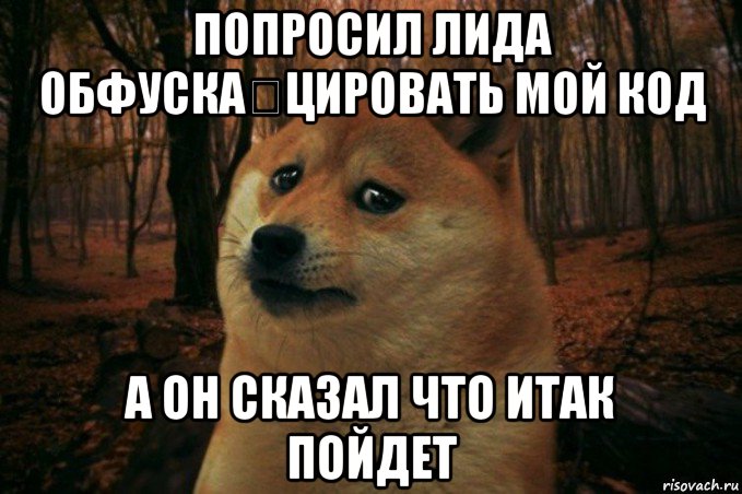 попросил лида обфуска́цировать мой код а он сказал что итак пойдет, Мем SAD DOGE