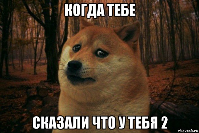 когда тебе сказали что у тебя 2, Мем SAD DOGE