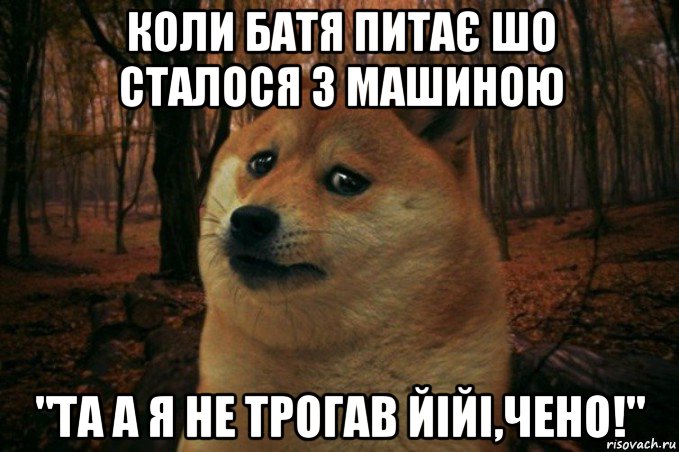 коли батя питає шо сталося з машиною "та а я не трогав йійі,чено!", Мем SAD DOGE