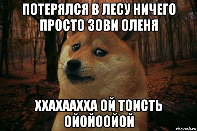 потерялся в лесу ничего просто зови оленя ххахаахха ой тоисть ойойоойой, Мем SAD DOGE