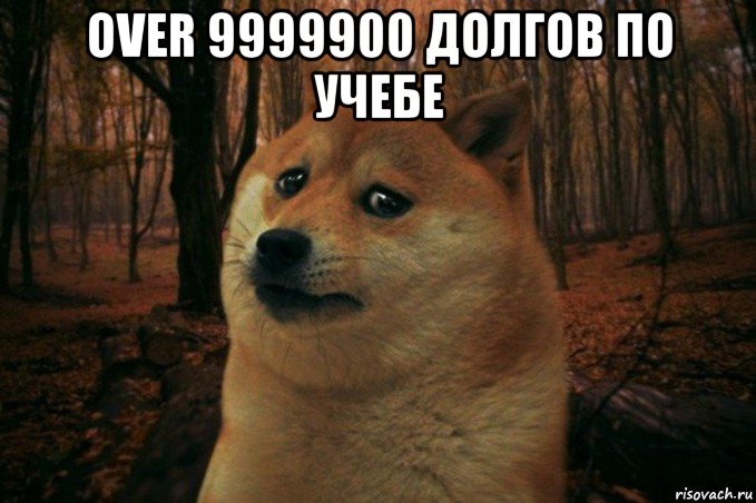 over 9999900 долгов по учебе , Мем SAD DOGE