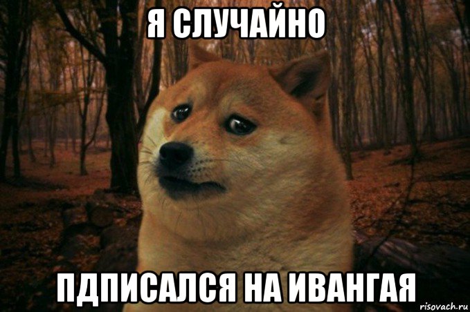 я случайно пдписался на ивангая, Мем SAD DOGE