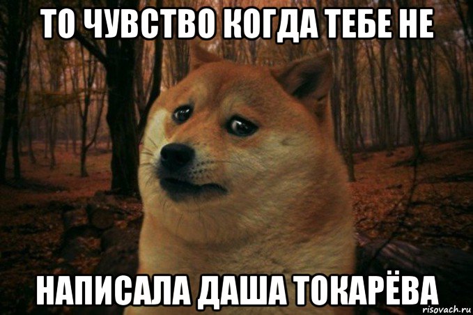 то чувство когда тебе не написала даша токарёва, Мем SAD DOGE