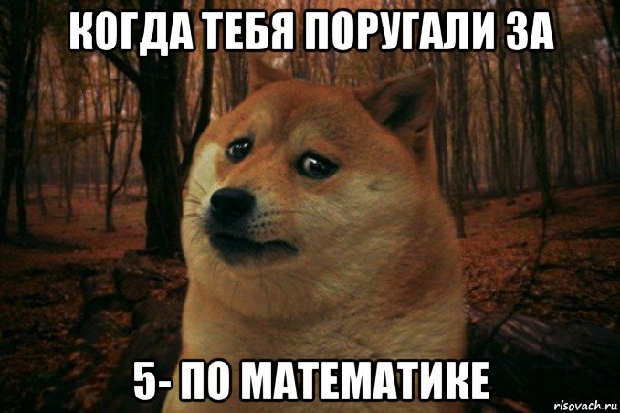 когда тебя поругали за 5- по математике, Мем SAD DOGE