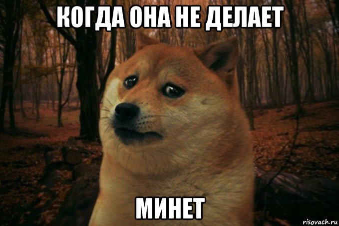 когда она не делает минет, Мем SAD DOGE