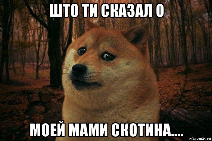 што ти сказал о моей мами скотина...., Мем SAD DOGE