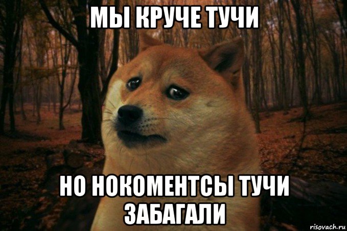 мы круче тучи но нокоментсы тучи забагали, Мем SAD DOGE