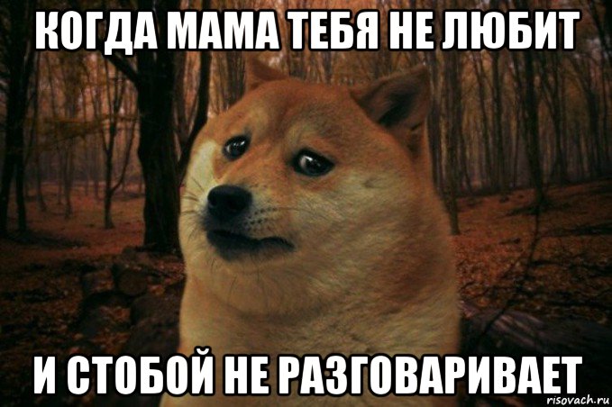 когда мама тебя не любит и стобой не разговаривает, Мем SAD DOGE