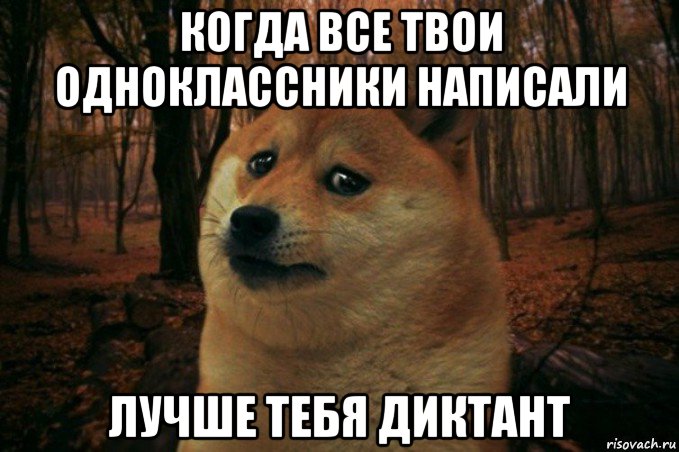 когда все твои одноклассники написали лучше тебя диктант, Мем SAD DOGE