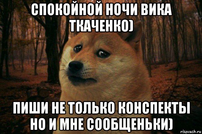 спокойной ночи вика ткаченко) пиши не только конспекты но и мне сообщеньки), Мем SAD DOGE