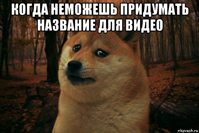 когда неможешь придумать название для видео , Мем SAD DOGE