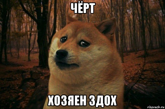 чёрт хозяен здох, Мем SAD DOGE