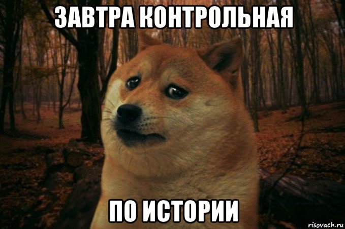 завтра контрольная по истории, Мем SAD DOGE