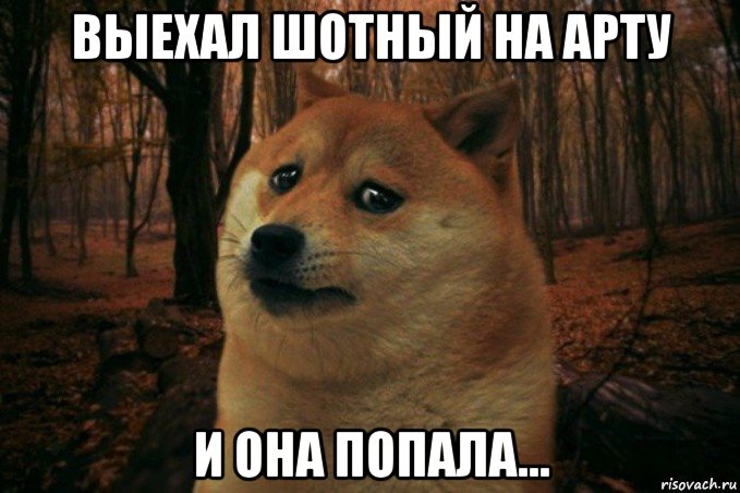 выехал шотный на арту и она попала..., Мем SAD DOGE