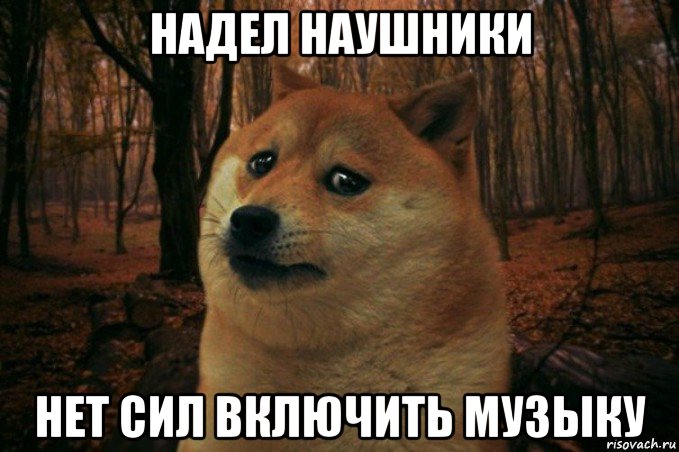 надел наушники нет сил включить музыку, Мем SAD DOGE