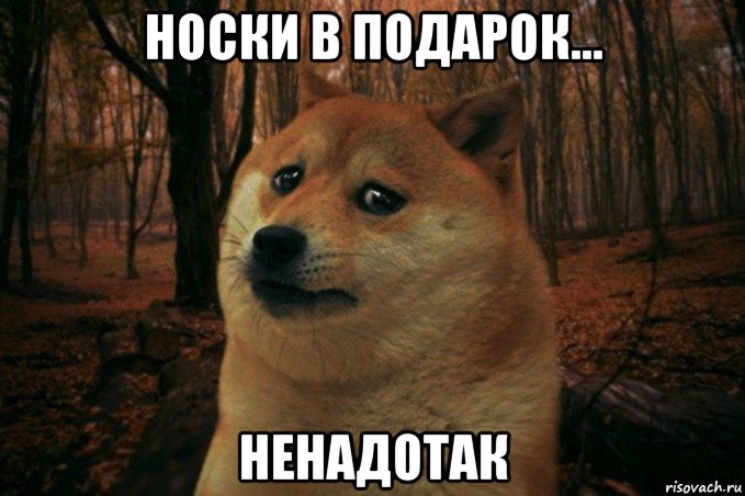 носки в подарок... ненадотак, Мем SAD DOGE