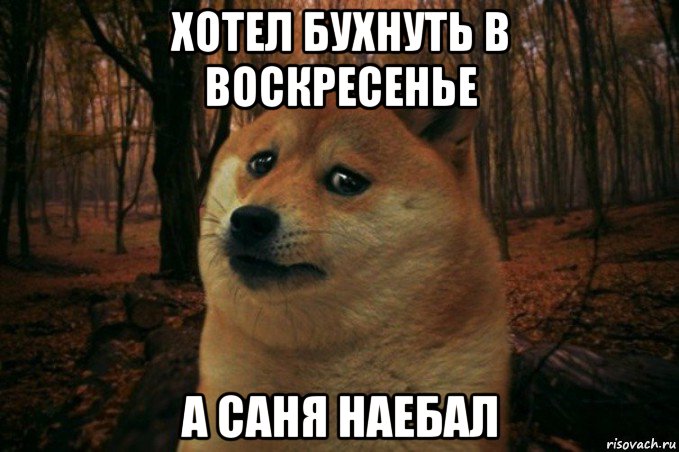 хотел бухнуть в воскресенье а саня наебал, Мем SAD DOGE