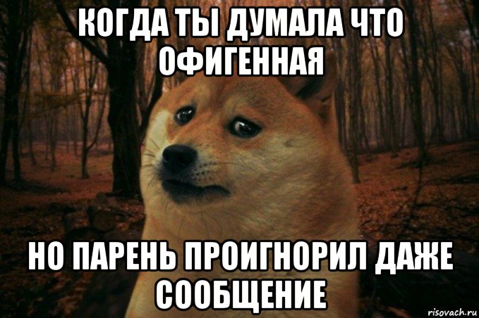 когда ты думала что офигенная но парень проигнорил даже сообщение, Мем SAD DOGE