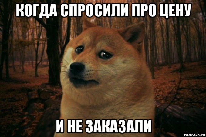 когда спросили про цену и не заказали, Мем SAD DOGE