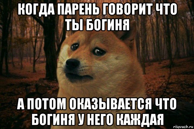 когда парень говорит что ты богиня а потом оказывается что богиня у него каждая, Мем SAD DOGE