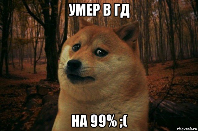 умер в гд на 99% ;(, Мем SAD DOGE