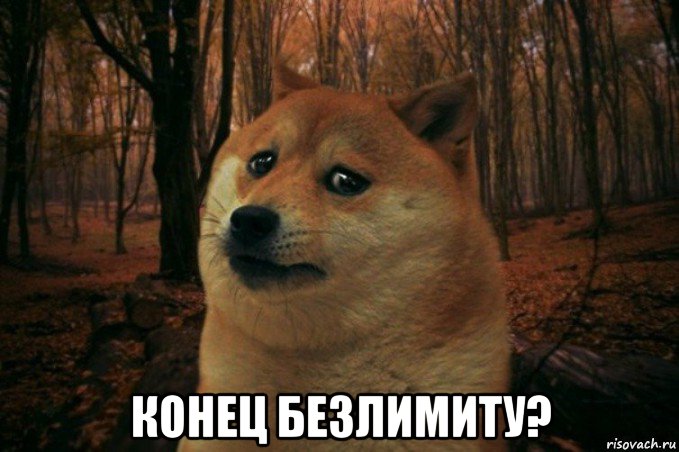  конец безлимиту?, Мем SAD DOGE