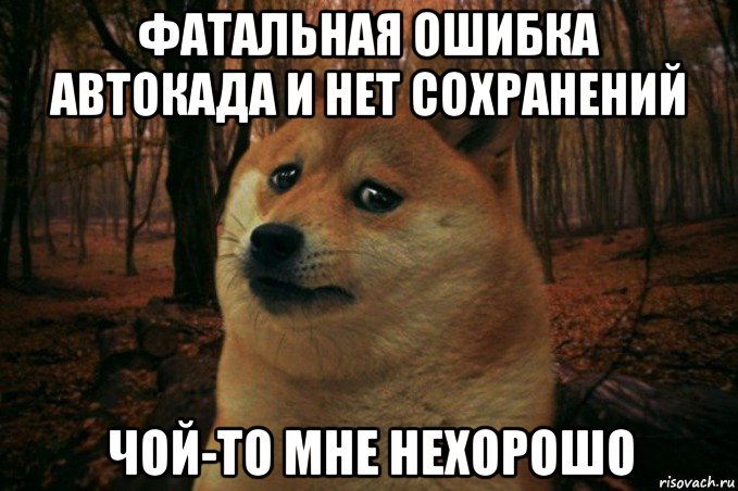 фатальная ошибка автокада и нет сохранений чой-то мне нехорошо, Мем SAD DOGE