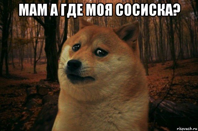 мам а где моя сосиска? , Мем SAD DOGE