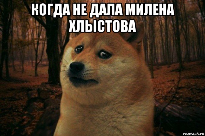 когда не дала милена хлыстова , Мем SAD DOGE