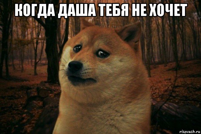 когда даша тебя не хочет , Мем SAD DOGE